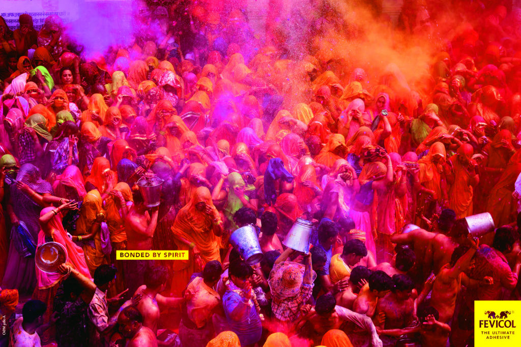 Fevicol-Holi-Press-ad