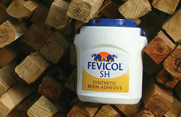 Fevicol