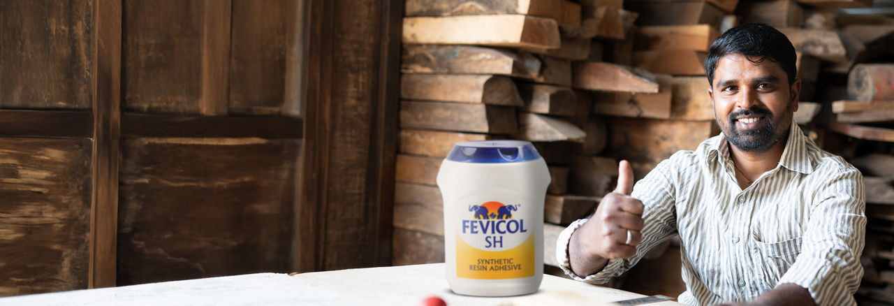 Fevicol Banner
