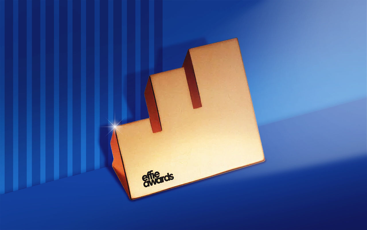 Bronze Effie for Dr. Fixit, Sri Lanka