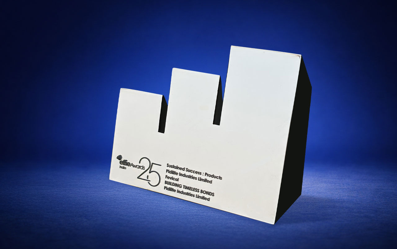 Fevicol Wins Silver Effie for Sustained Success