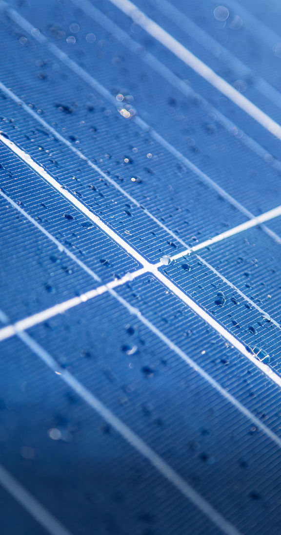 UV and Moisture Resistance for Outdoor Durability​