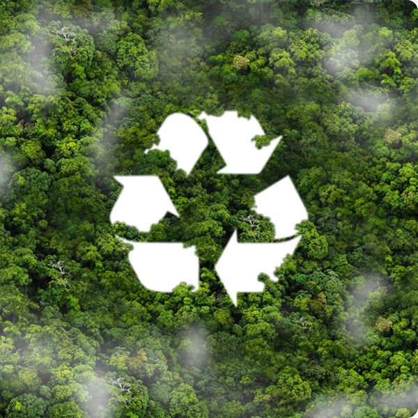Circularity & Waste Management​