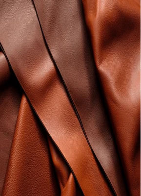 Top Coat Polyurethanes​