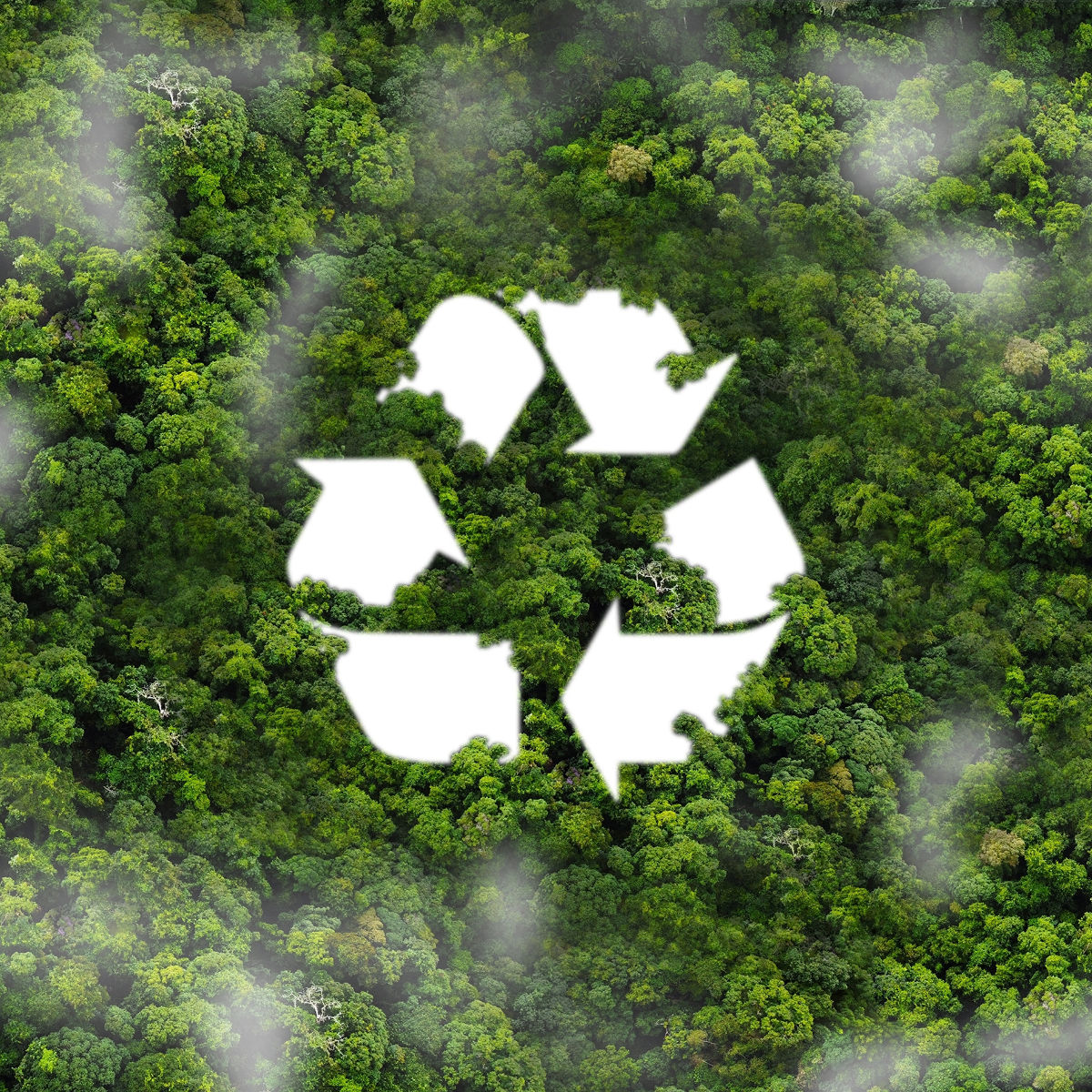 Circularity & Waste Management​