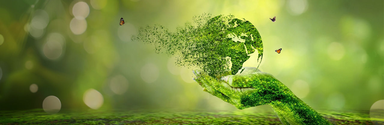 sustainability